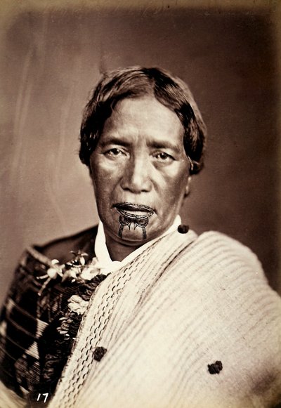 Portrait of a Maori with a tattooed face, c.1886-88 by New Zealand Photographer